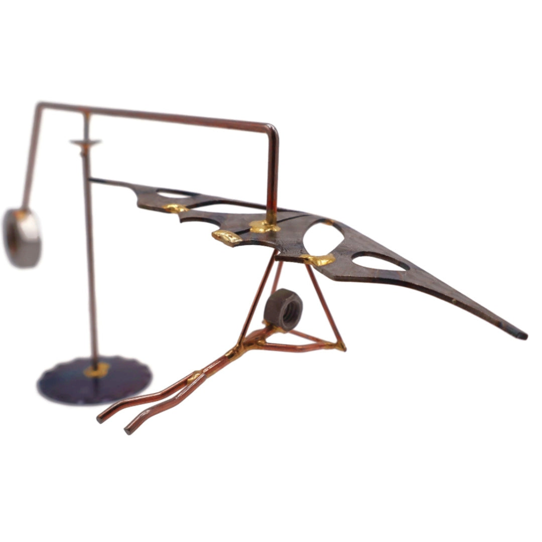 Balanced Hang Glider