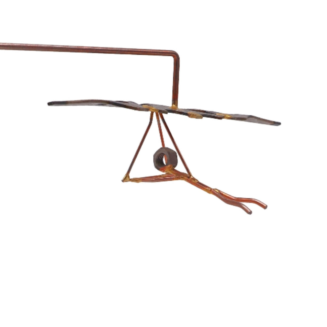 Balanced Hang Glider