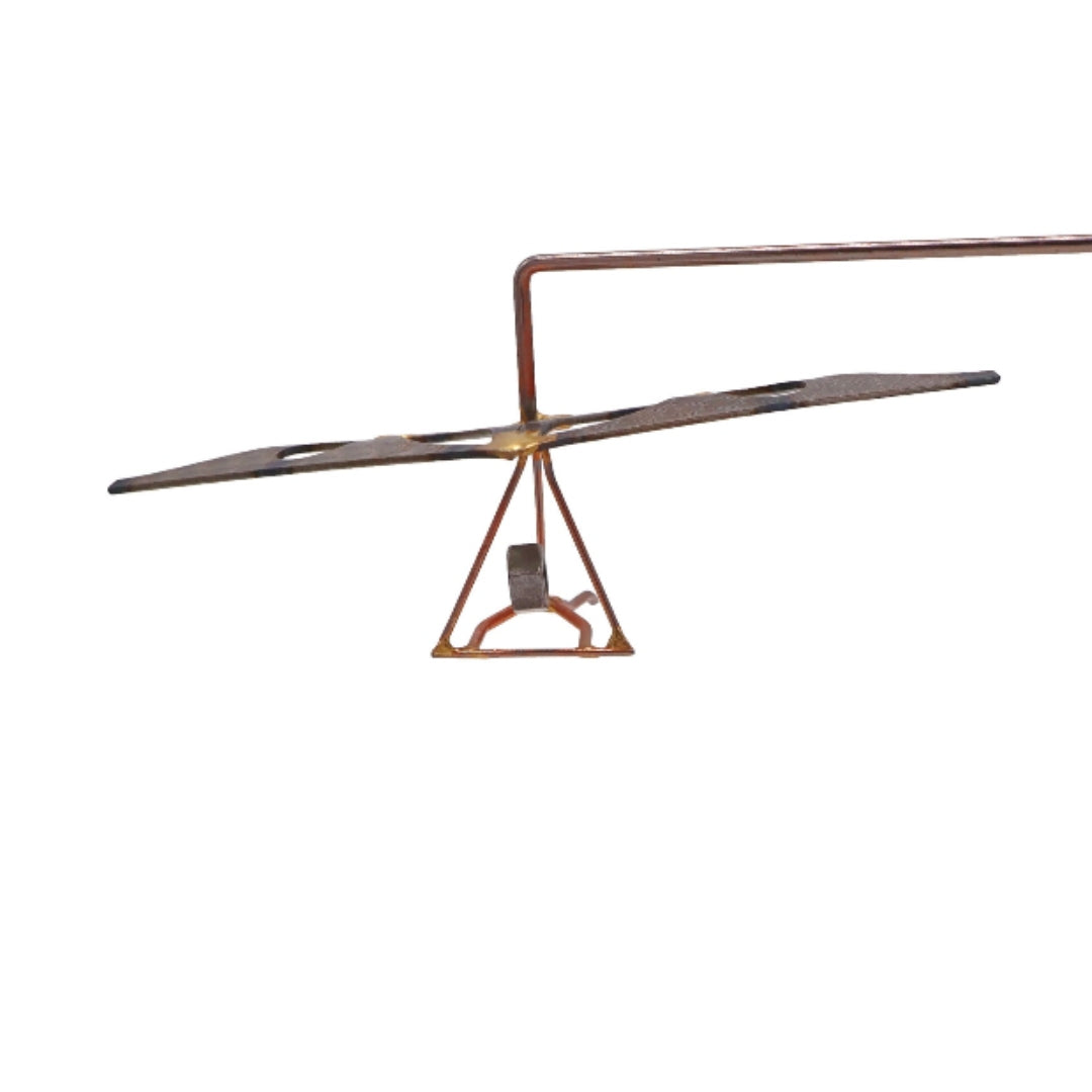 Balanced Hang Glider