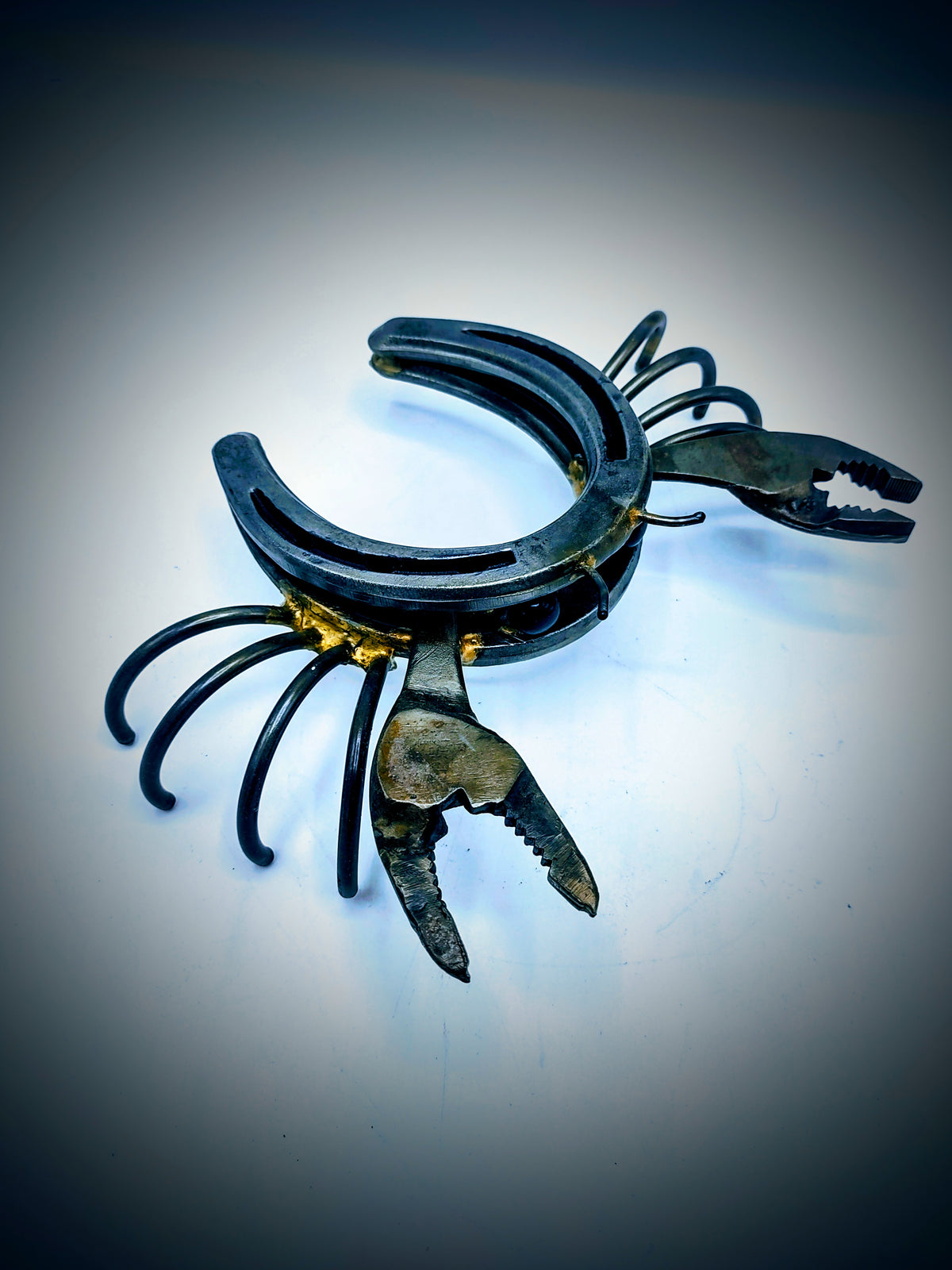 Horse Shoe Crab