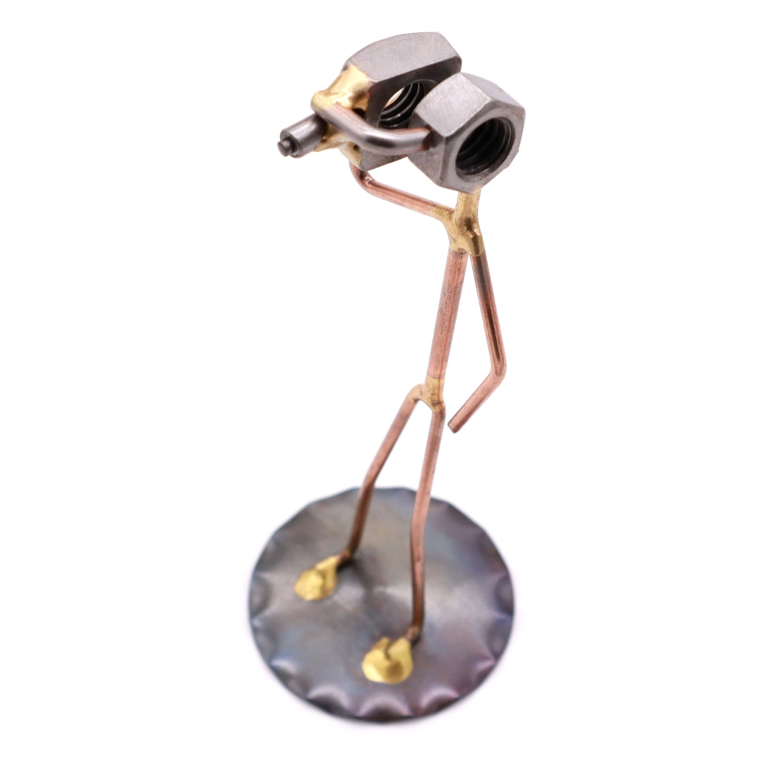 Camcorder/Videographer