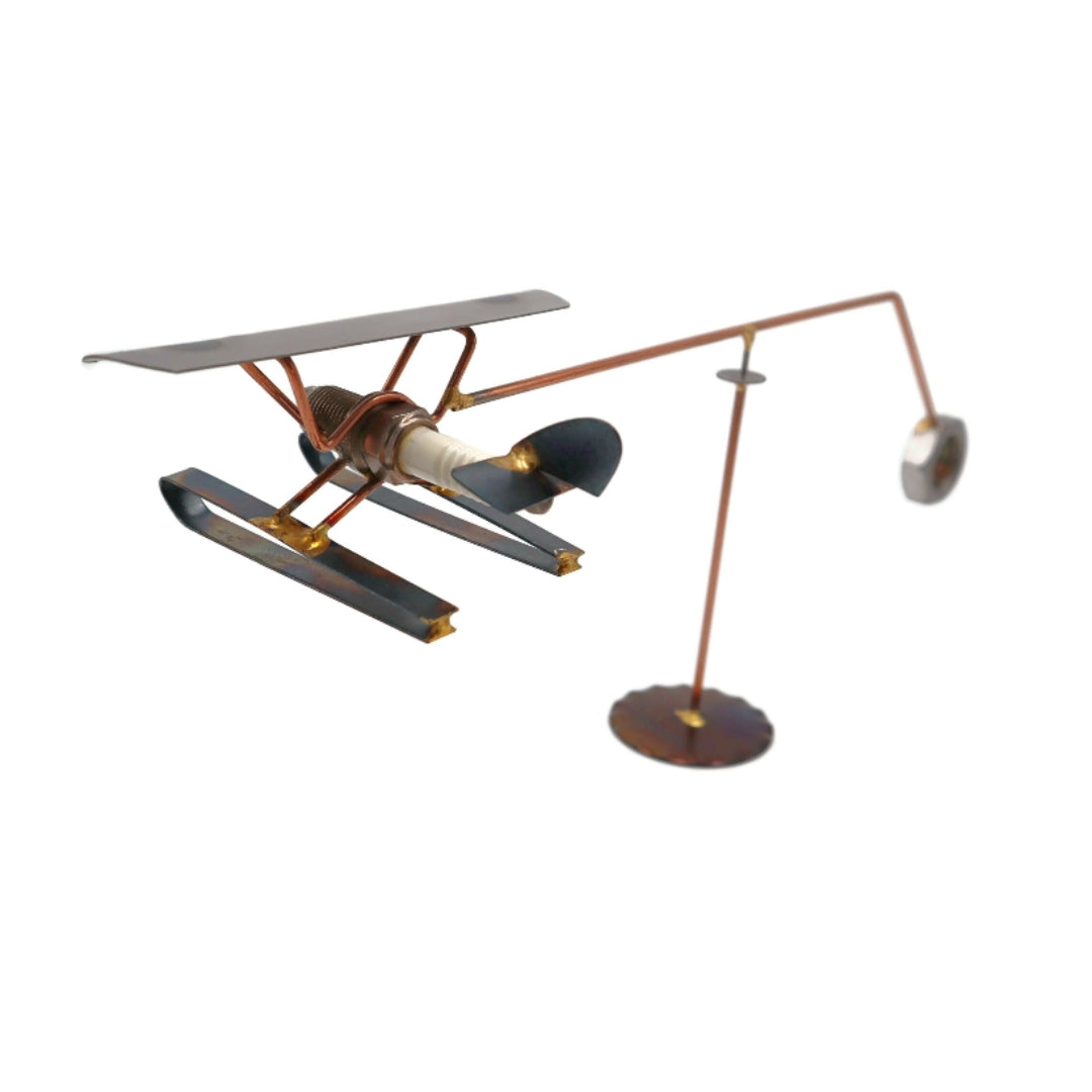 Balanced Pontoon Plane