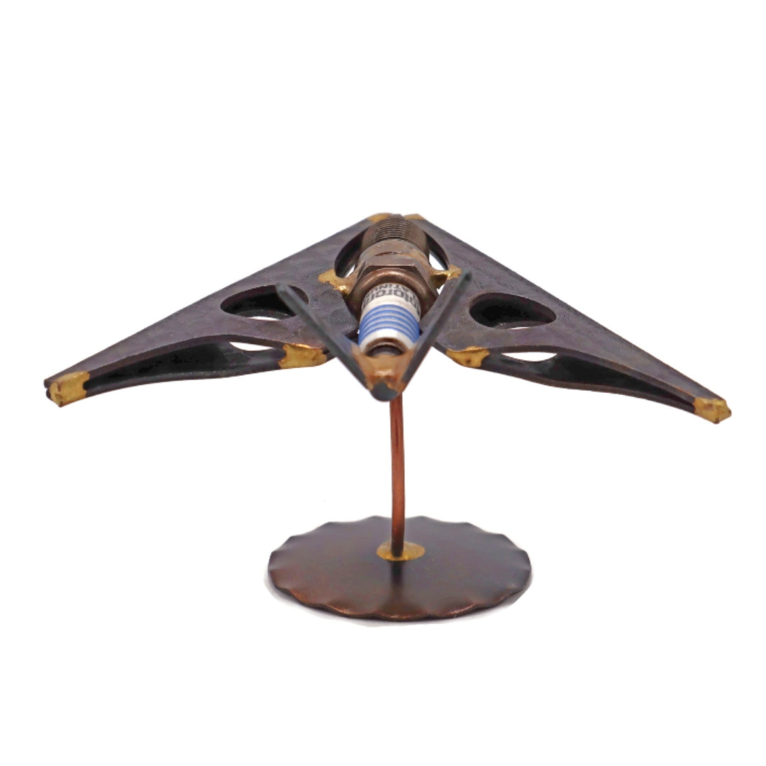 Tarnkappenflugzeug (F-117)