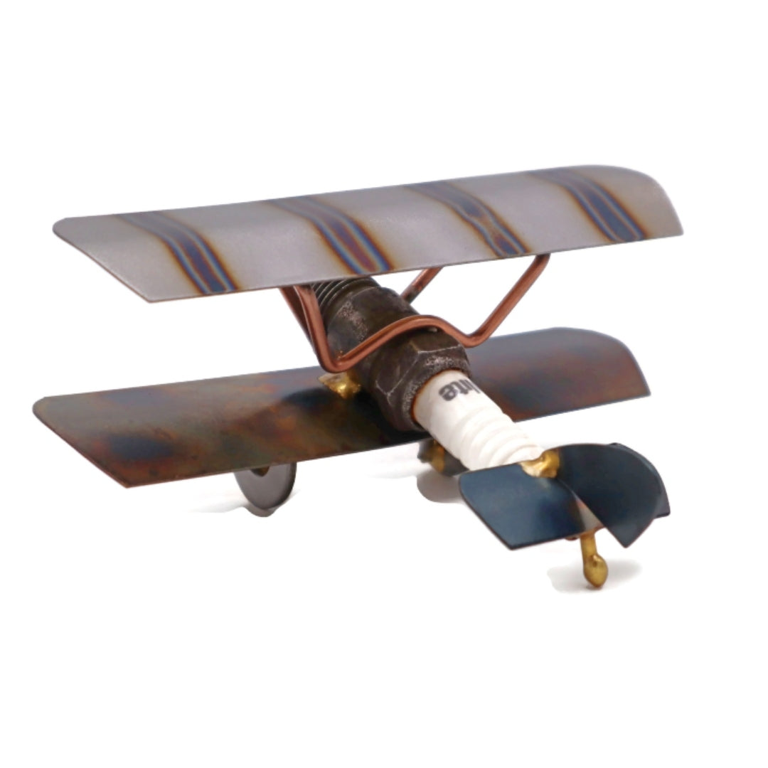 Bi-Wing Plane
