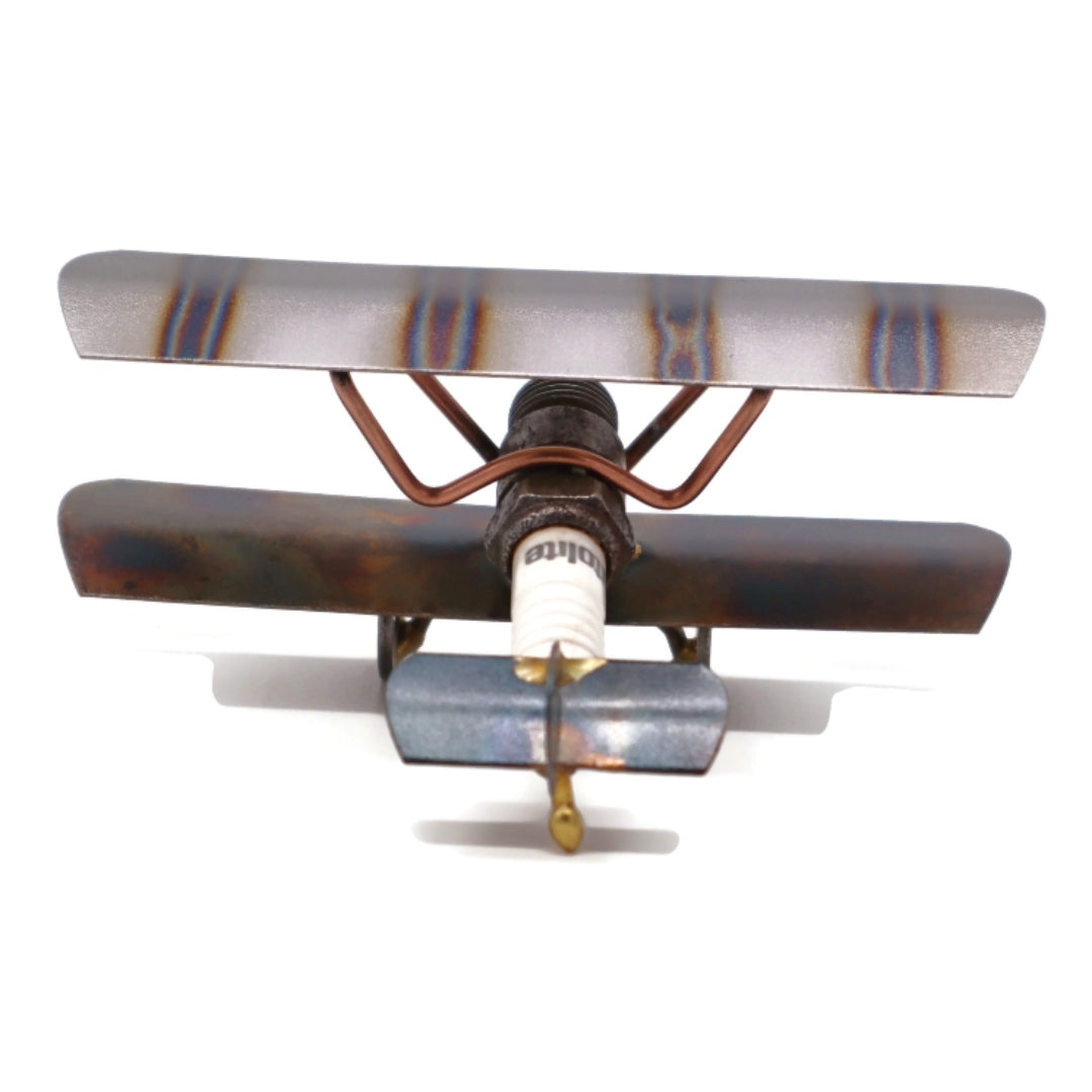 Bi-Wing Plane