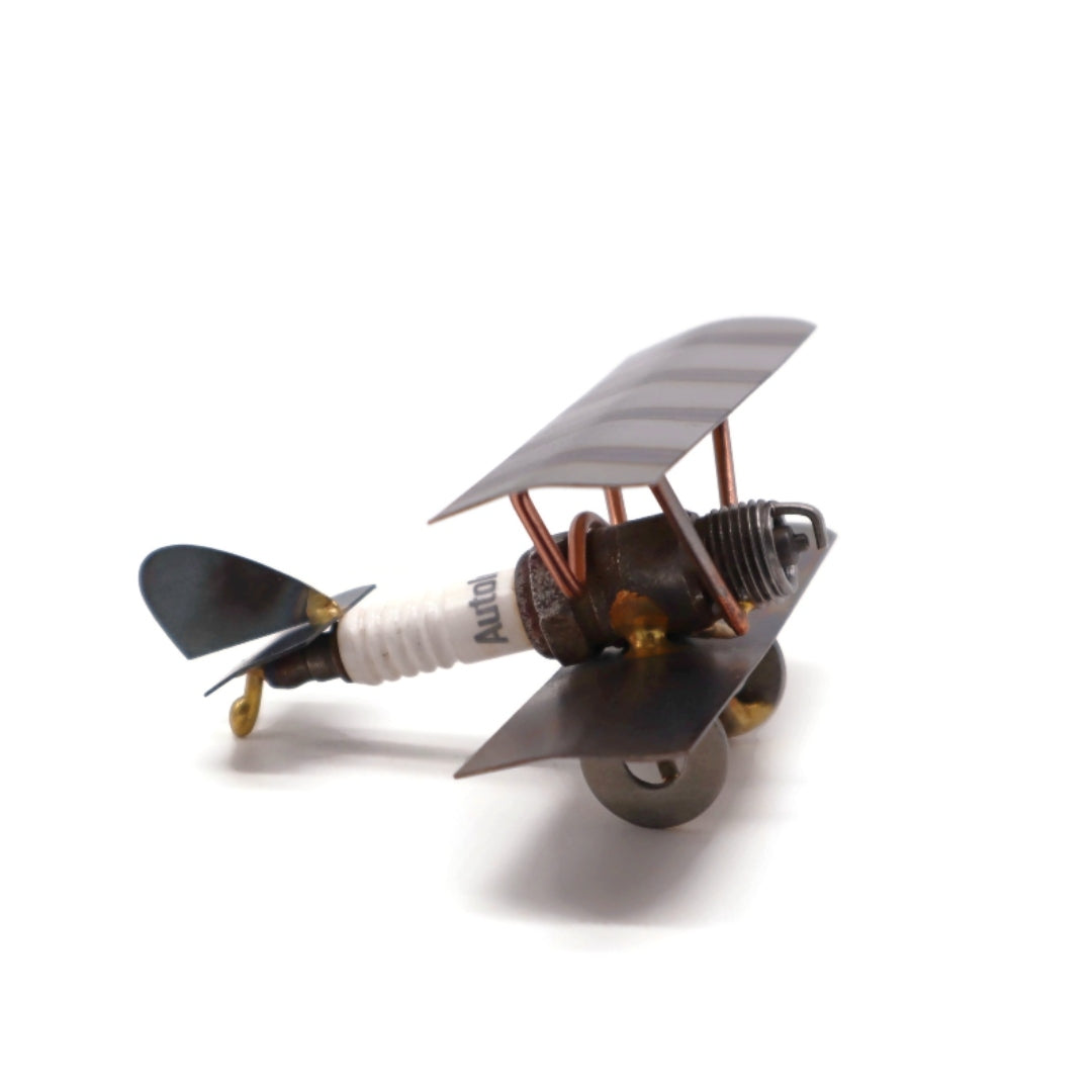Bi-Wing Plane
