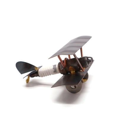 Bi-Wing Plane