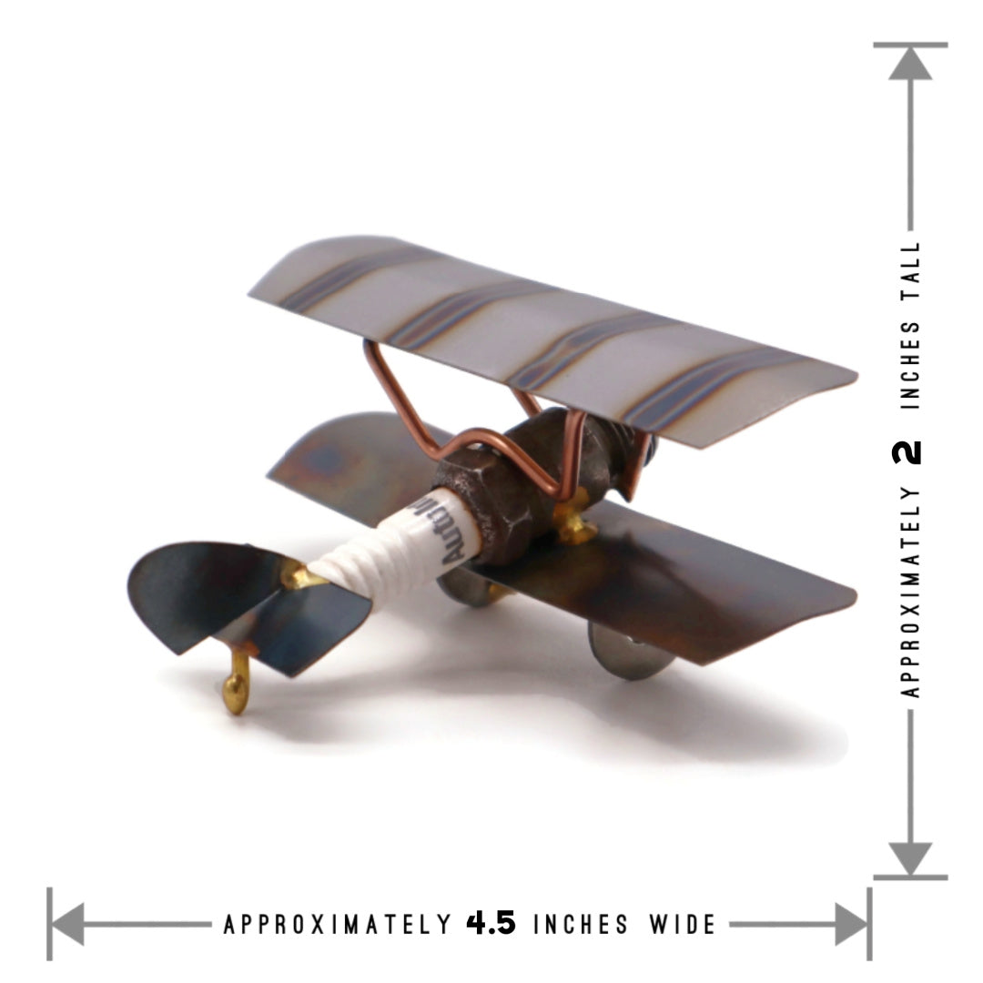Bi-Wing Plane