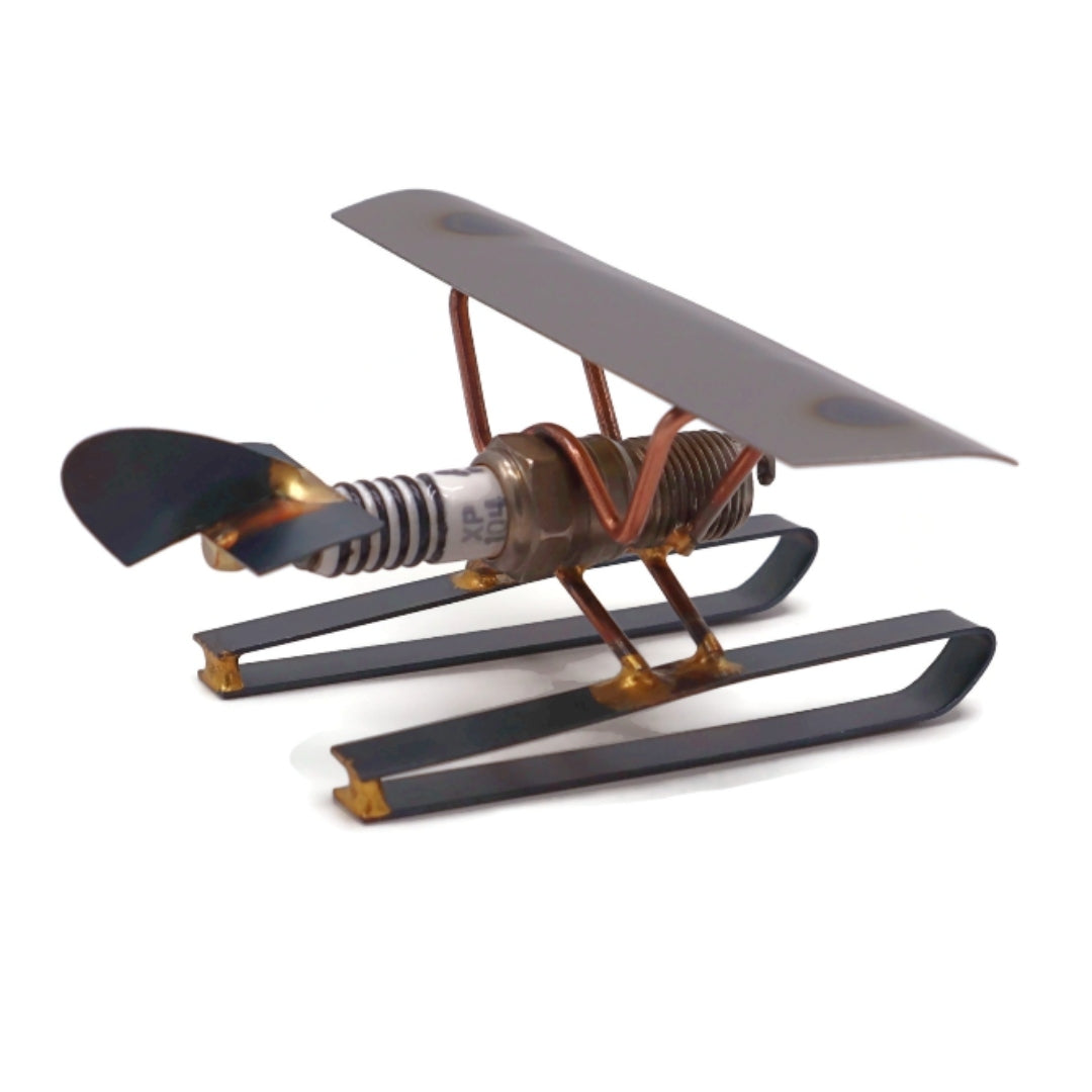 Pontoon Plane