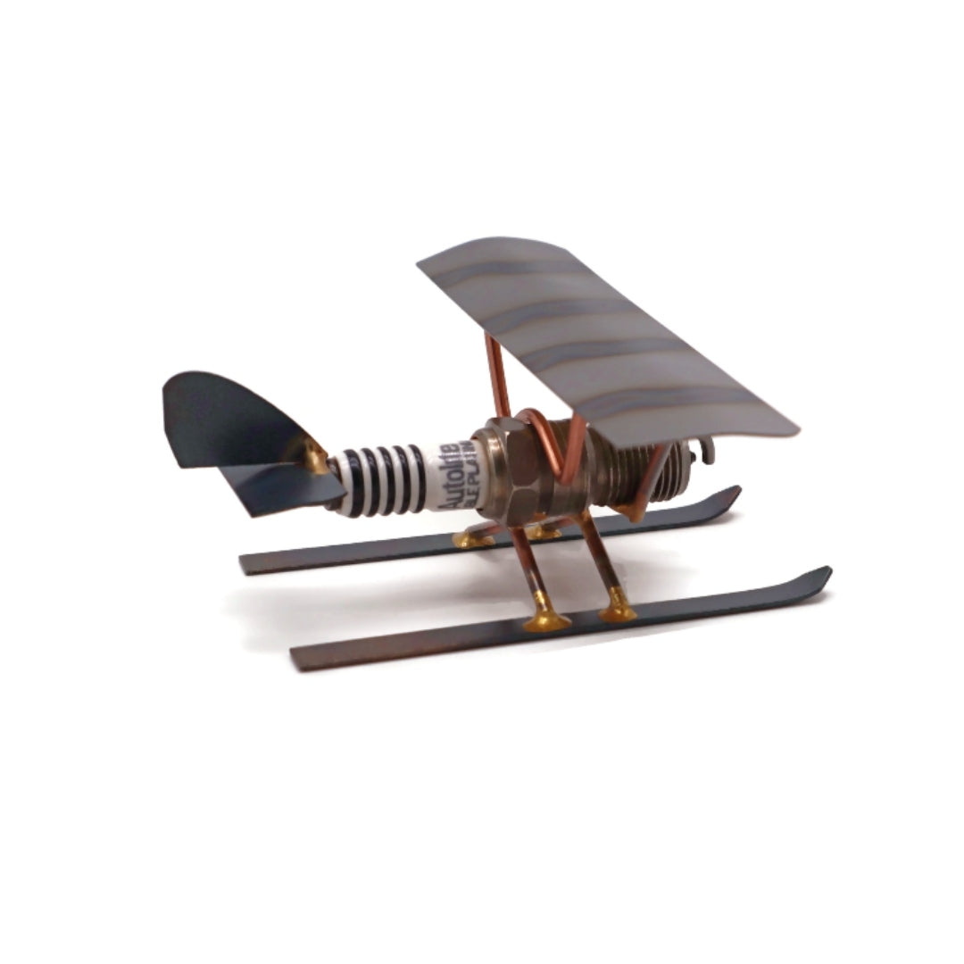 Ski Plane