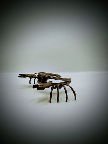 Horse Shoe Crab