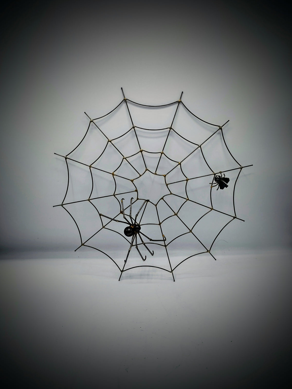 Spider Web
